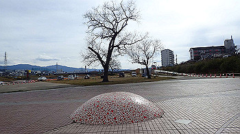 p1260159_thumb.jpg