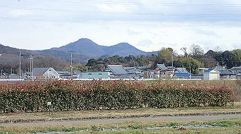 p1260167_thumb.jpg
