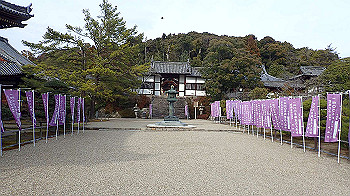 p1260184_thumb.jpg