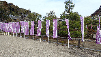 p1260185_thumb.jpg