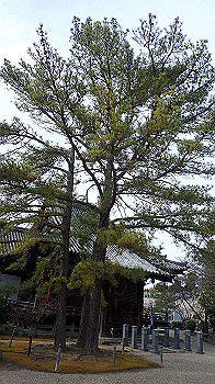 p1260187_thumb.jpg
