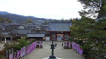 p1260197_thumb.jpg