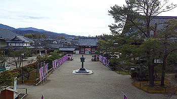 p1260198_thumb.jpg
