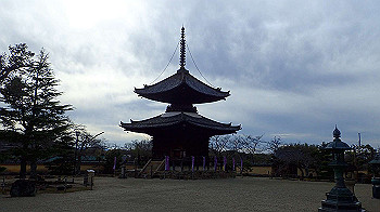 p1260200_thumb.jpg
