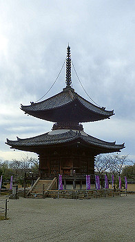 p1260201_thumb.jpg