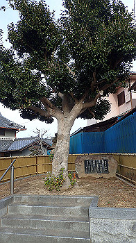 p1260205_thumb.jpg