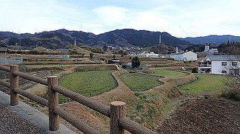 p1260214_thumb.jpg
