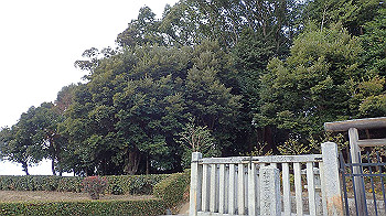 p1260219_thumb.jpg