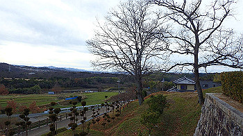 p1260221_thumb.jpg