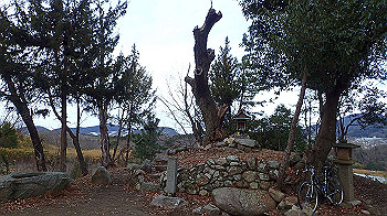 p1260225_thumb.jpg