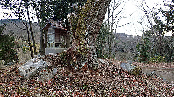 p1260230_thumb.jpg