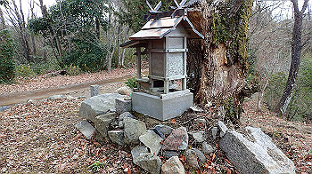 p1260231_thumb.jpg