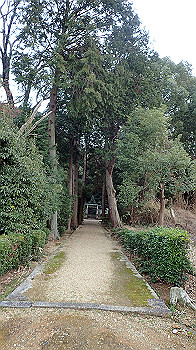 p1260238_thumb.jpg