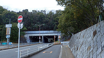 p1260245_thumb.jpg