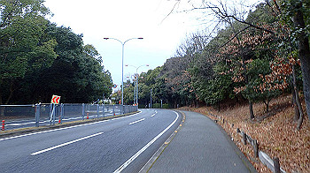 p1260247_thumb.jpg