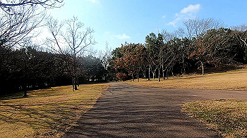 gx011485.mp4_snapshot_02.17_thumb.jpg