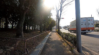 gx011485.mp4_snapshot_02.39_thumb.jpg