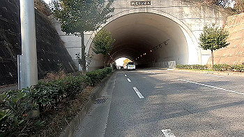 gx011486.mp4_snapshot_00.50_thumb.jpg