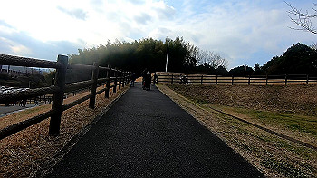 gx011491.mp4_snapshot_01.44_thumb.jpg