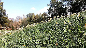 gx011492.mp4_snapshot_00.52_thumb.jpg