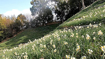 gx011492.mp4_snapshot_01.02_thumb.jpg