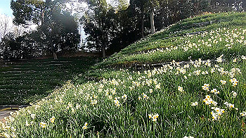 gx011492.mp4_snapshot_01.13_thumb.jpg
