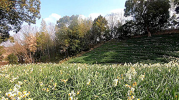 gx011492.mp4_snapshot_01.23_thumb.jpg