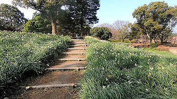 gx011493.mp4_snapshot_00.01_thumb.jpg