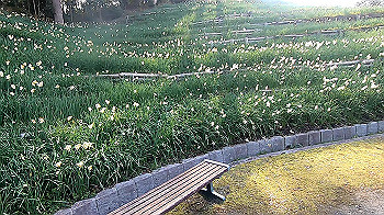 gx011494.mp4_snapshot_00.06_thumb.jpg