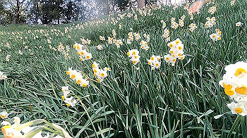 gx011494.mp4_snapshot_00.25_thumb.jpg