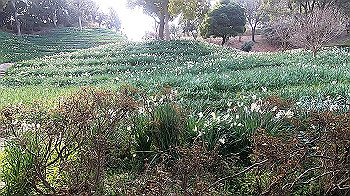 gx011495.mp4_snapshot_00.00_thumb.jpg