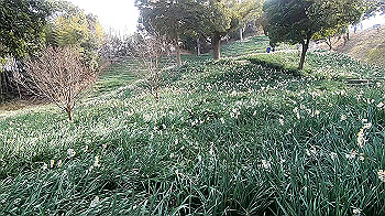 gx011495.mp4_snapshot_00.30_thumb.jpg