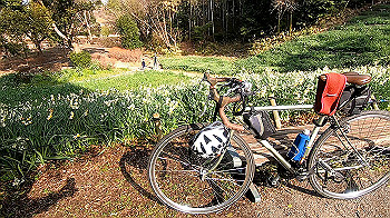 gx011495.mp4_snapshot_01.31_thumb.jpg