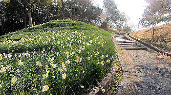 gx011496.mp4_snapshot_00.01_thumb.jpg