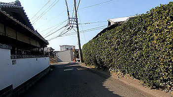 gx011510.mp4_snapshot_00.26_thumb.jpg