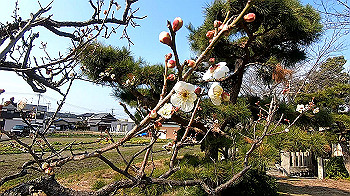 gx011513.mp4_snapshot_01.20_thumb.jpg