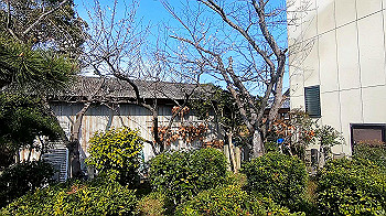 gx011513.mp4_snapshot_01.52_thumb.jpg