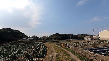 gx011514.mp4_snapshot_00.33_thumb.jpg