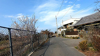 gx011515.mp4_snapshot_00.03_thumb.jpg