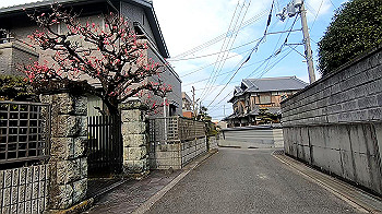 gx011516.mp4_snapshot_01.55_thumb.jpg