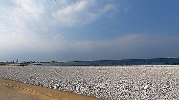 gx011525.mp4_snapshot_00.36_thumb.jpg