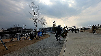 gx011526.mp4_snapshot_00.24_thumb.jpg