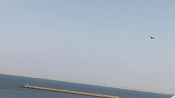 gx011531.mp4_snapshot_01.17_thumb.jpg