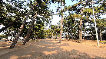 gx011540.mp4_snapshot_00.06_thumb.jpg