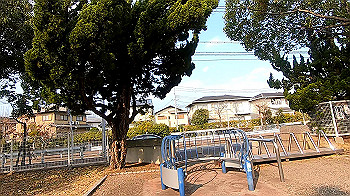 gx011543.mp4_snapshot_02.24_thumb.jpg