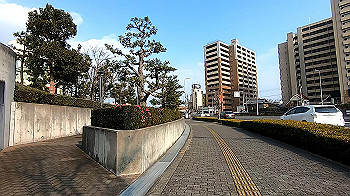gx011545.mp4_snapshot_01.22_thumb.jpg