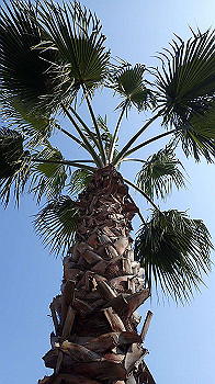 p2070288_thumb.jpg