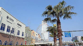 p2070289_thumb.jpg