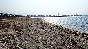 p2070292_thumb.jpg