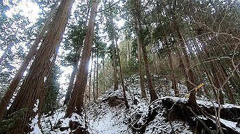 gx011563.mp4_snapshot_00.00_thumb.jpg